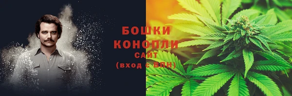 ПСИЛОЦИБИНОВЫЕ ГРИБЫ Новокубанск