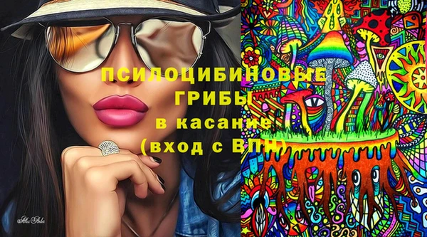 ПСИЛОЦИБИНОВЫЕ ГРИБЫ Новокубанск