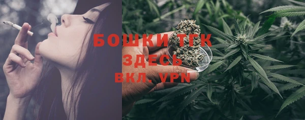 ПСИЛОЦИБИНОВЫЕ ГРИБЫ Новокубанск
