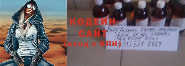 скорость Новозыбков