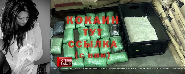скорость Новозыбков