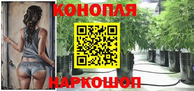 мяу мяу мука Камышлов