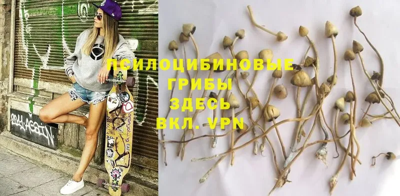 Галлюциногенные грибы Magic Shrooms  это формула  Аксай  кракен сайт 