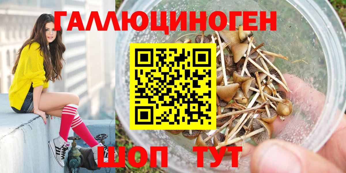Псилоцибиновые грибы Psilocybine cubensis  Аксай 