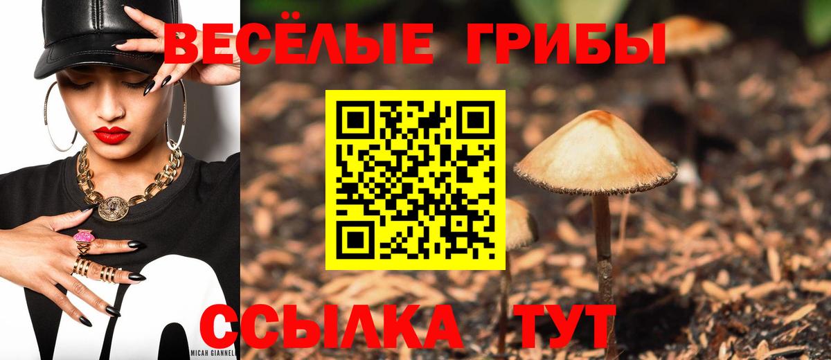 сколько стоит  Вход с VPN  Аксай  Псилоцибиновые грибы MAGIC MUSHROOMS  Галлюциногенные грибы Magic Shrooms 
