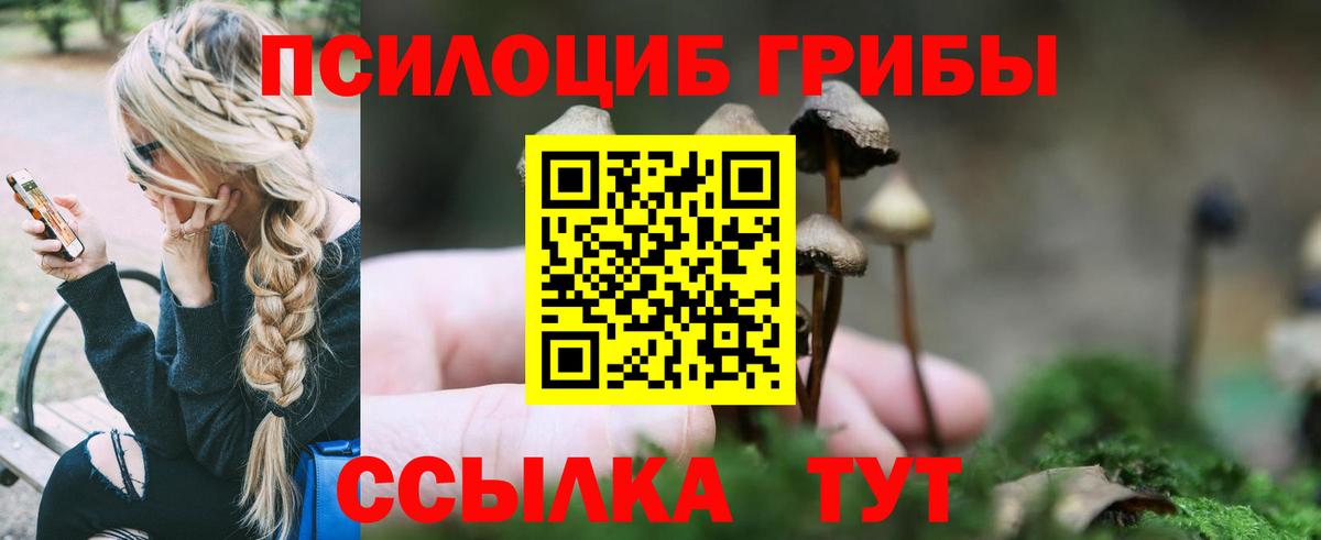 Галлюциногенные грибы GOLDEN TEACHER Аксай