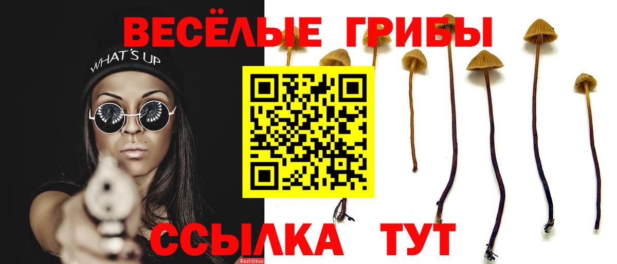 Конопля Аксай